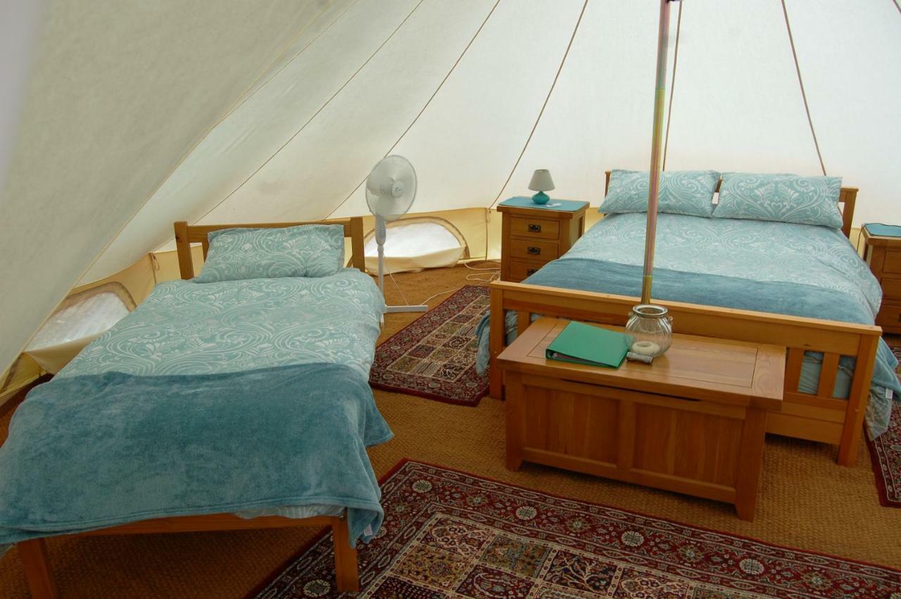 Camping La Foret De Tesse Kültér fotó